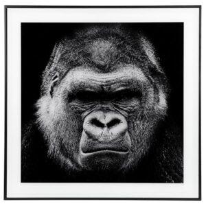 Gorilla Picture + Frame