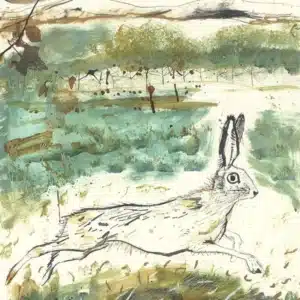 Sam Wilson Heathland Greetings Card