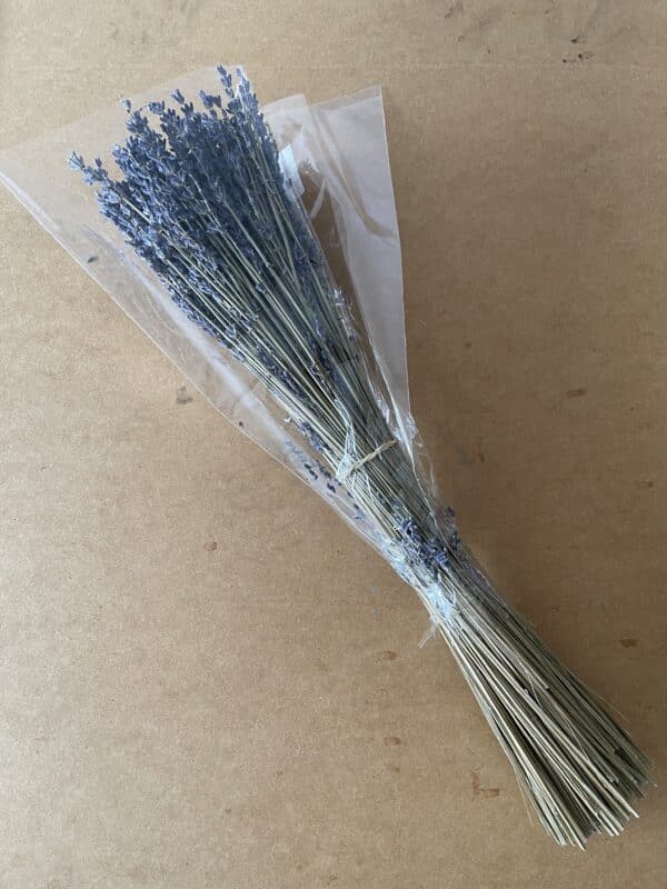 Dried lavender Bunch