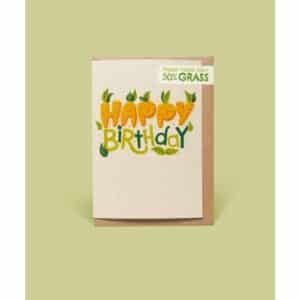 Eco Happy Birthday Card, Made from Grass Clippings