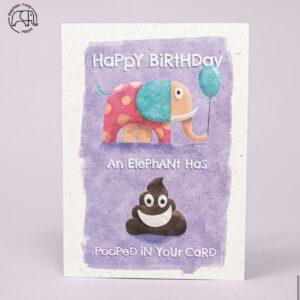 Eco Happy Birthday Card, Made from Elephant Poo