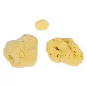 Eco Bath Natural Sea Sponges