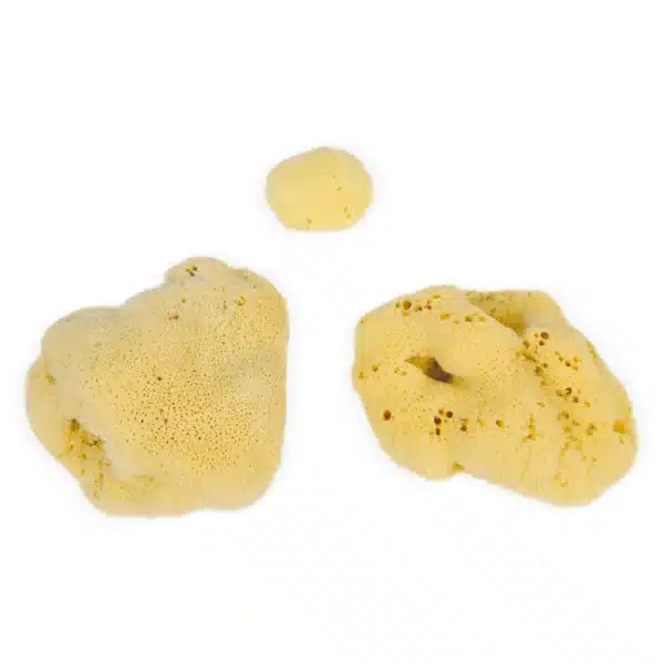 Eco Bath Natural Sea Sponges
