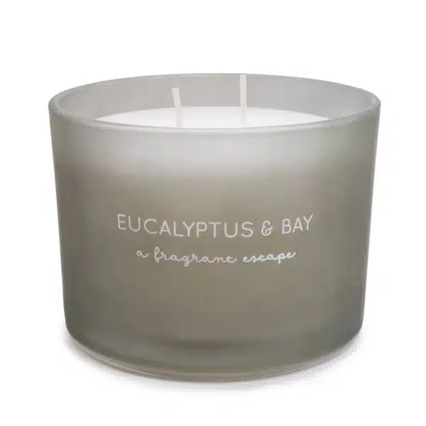 Eucalyptus & Bay Two Wick Glass Wax Filled Pot Candle