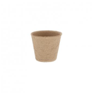 Grow Pot 6cm image