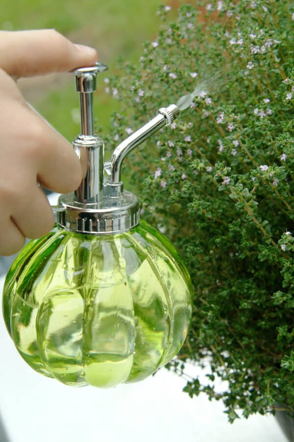 Green Glass Atomiser in use image