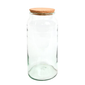 Half Open Terrarium Bottle Large