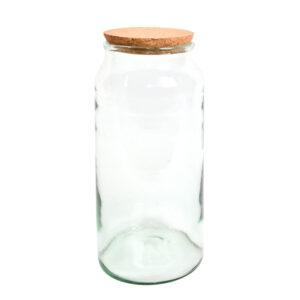 Half Open Terrarium Bottle Large