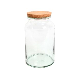 Half Open Terrarium Bottle Medium