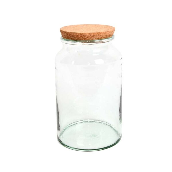 Half Open Terrarium Bottle Medium