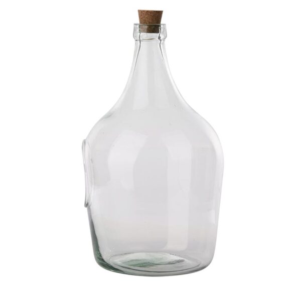 Open Terrarium Clear Bottle (5 Litre) - Image 3