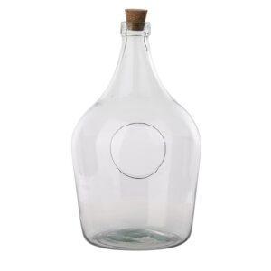 Open Terrarium Clear Bottle (5 Litre)