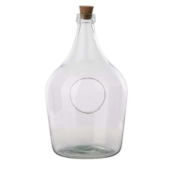 Open Terrarium Clear Bottle (5 Litre)