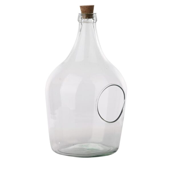 Open Terrarium Clear Bottle (5 Litre) - Image 2