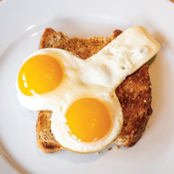 Willie Egg Fryer - Image 3