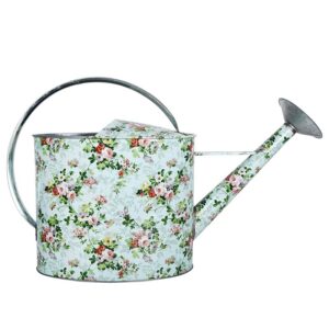 Large Watering Can (rose)
