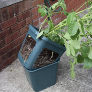 Potato Planter