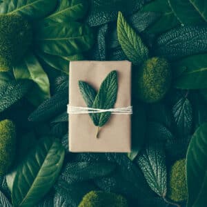 Gardening Gifts