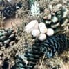 green christmas wreath with with berries