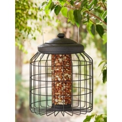 bird feeder outside image