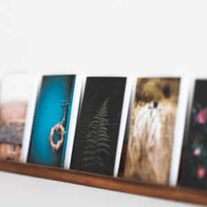 Blank Cards