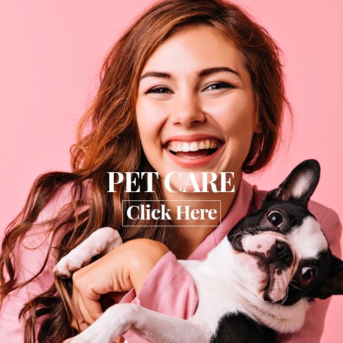 pet care image