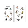my-wellbeing-garden images of diffent birds