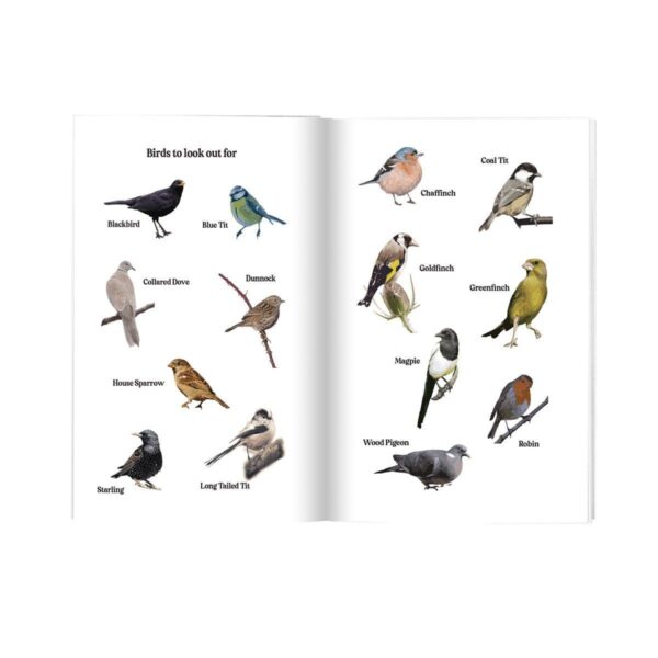 my-wellbeing-garden images of diffent birds