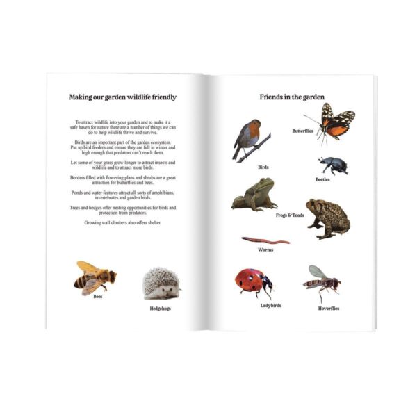 my-wellbeing-gardenmake your garden wildlife friendly