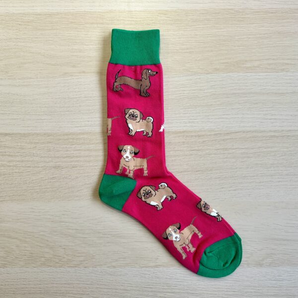 Sock Society red socks with dogs on them. Green toe and heal