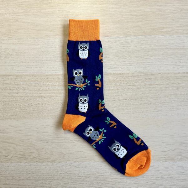 Blue Owls sock with orange heels