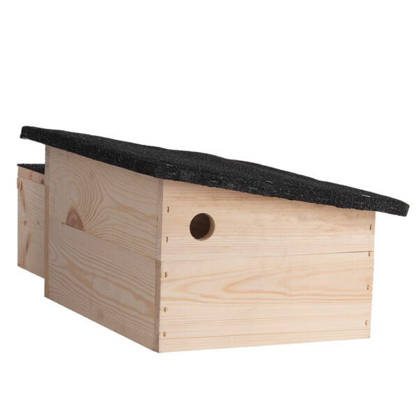 Hedgehog house image