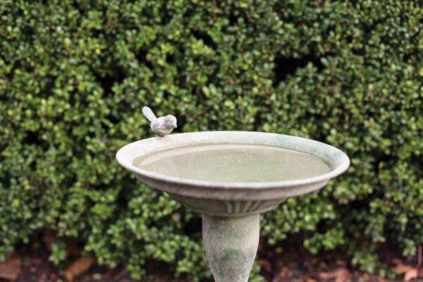 Green aged metal bird bath with water image