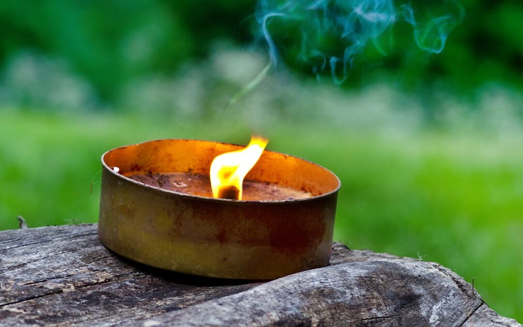 Citronella, the Unsung Hero of Al Fresco Living