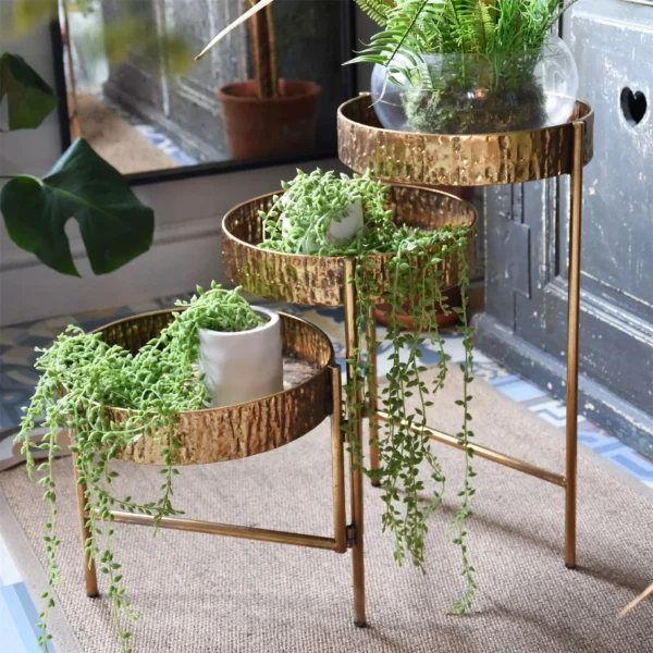 lifestyle plant stand