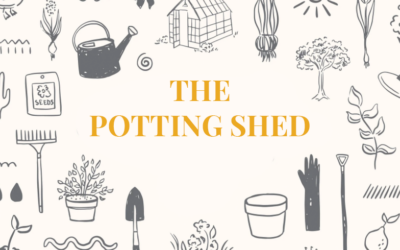Explore Our Diverse Range of Gardening Accessories
