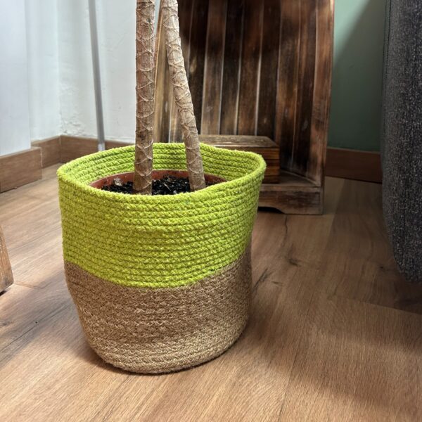 Set of 3 Cotton Rope Storage Baskets - Pistachio - Image 4