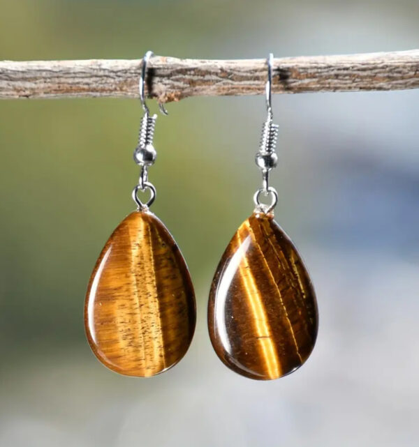 Tigers Eye Teardrop Pendant Earrings