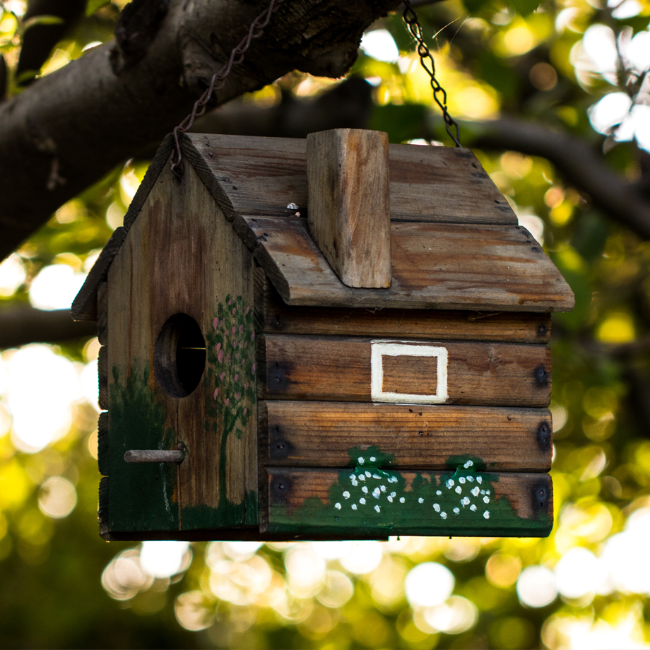 Shop Garden Wildlife Products - One and Every