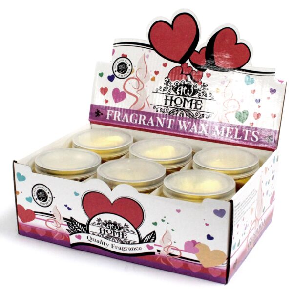 Soywax Melts Jar - Mango Fruits - Image 3