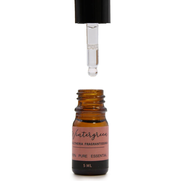 Aromatherapy Essential Oil Set - The Top 12 - Image 4