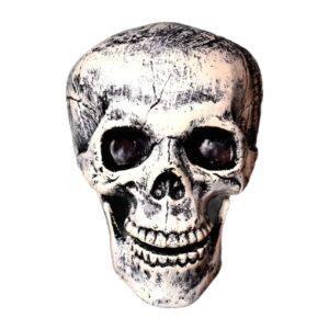 halloween Skelton skull