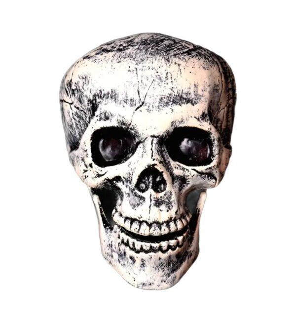 halloween Skelton skull