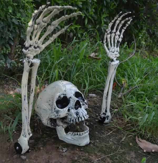 Halloween Skeleton Hands and skull Garden Prop