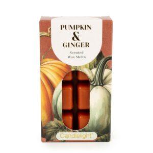 Pumpkin & Ginger Scented Wax Melts – Pack of 8