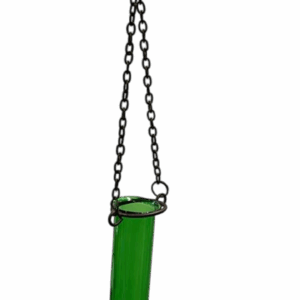 Single Green Test Tube Flower Hanging