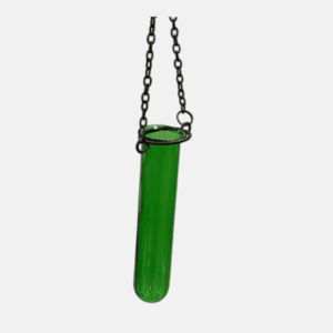 Single Green Test Tube Flower Hanging