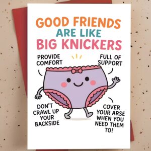 funny friendship card good friends are like big knickers with bold text design